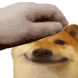 Pet Sticker