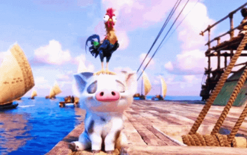 Pet Moana GIF. This 498 x 314 animated GIF is part of our hei hei moana collection. Related themes include cute, disney, ocean. Created by omgurmom123. View…