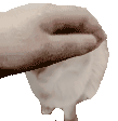 Pet Sam Sticker