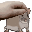 Pet The Rat Sticker