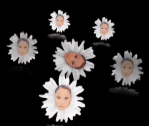 Petal Ariana Grande GIF
