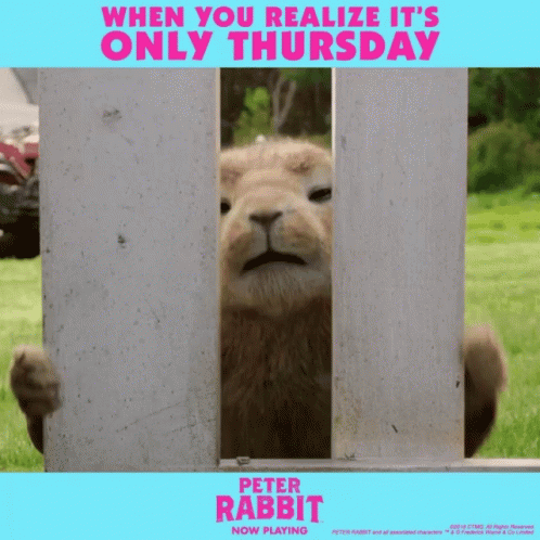 Peter Rabbit Thursday GIF. This 498 x 498 animated GIF is part of our lustiger dienstag collection. Related themes include thursday. Created by PeterRabbit…