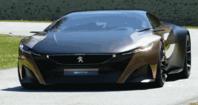 Peugeot GIF