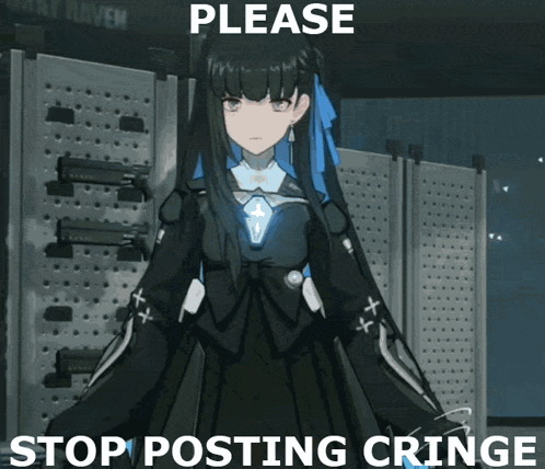 Pgr Punishing Gray Raven GIF