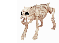 Phantom Megga Styler Sticker