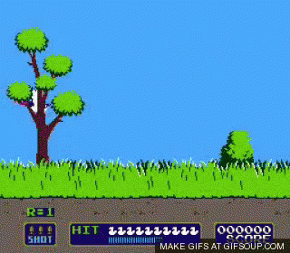 Pheasant GIF