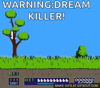 Pheasant Pheasant Hunting GIF