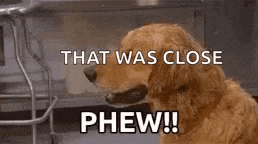 Phew Dogs GIF