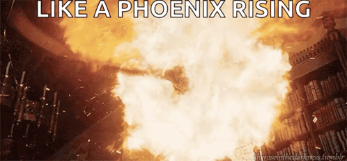 Phoenix Fantastic Beasts GIF