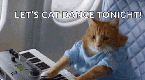 Pianocat GIF