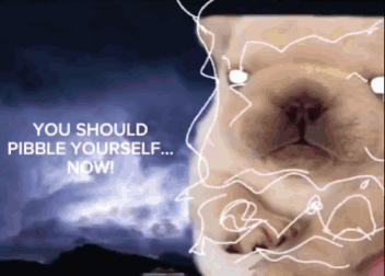 Pibble Gmail GIF