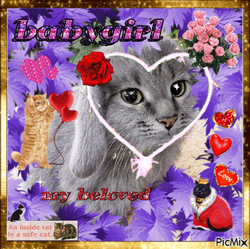 Picmix Cabbit GIF. This 498 x 496 animated GIF is part of our lady and the tramp siamese cats collection. Related themes include bunny, cat, love. Created…