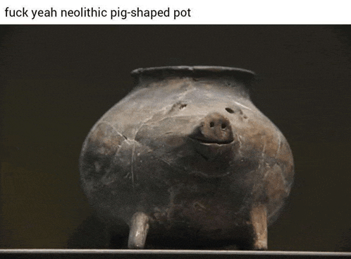Pig Meme