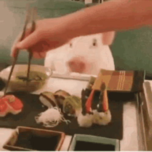 Pig Piglet GIF