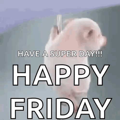 Pig Pole Dance GIF. This 498 x 498 animated GIF is part of our lustige freitags bilder collection. Created by NicoleMcAnany. View the original animation…