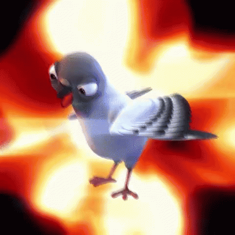 Pigeon Well GIF. This 480 x 480 animated GIF is part of our funny pigeon collection. View the original animation, share it, or browse related GIFs.