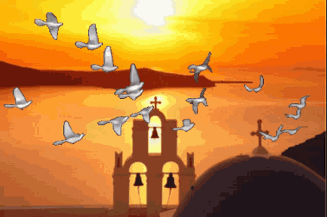 Pigeons Flying GIF