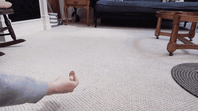 Pigpoke Rabbit GIF