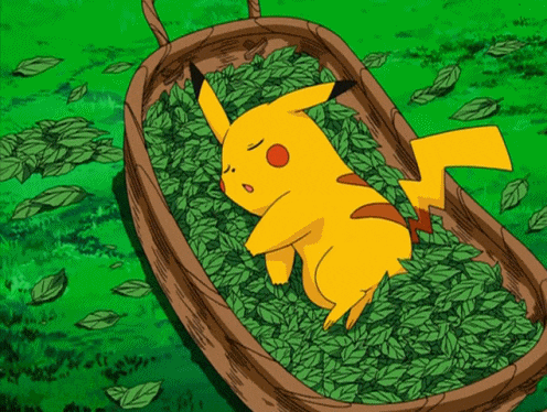 Pikachu Sleep GIF