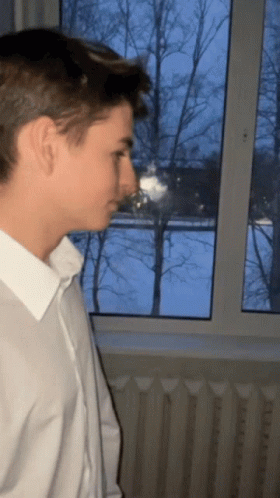 Piluga Dima GIF