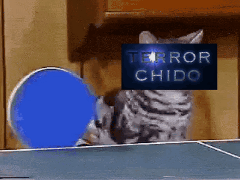 Pin Pong Chido GIF