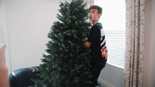 Pine Tree Christmas Tree GIF