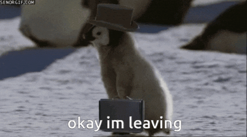 Pinguin Leaving GIF