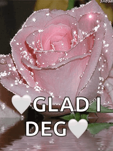 Pink Glitter Pinks GIF
