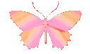 Pink Shining Butterfly Sticker