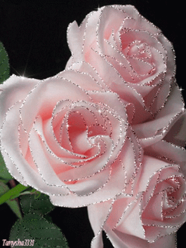 Pinks Pink Glitter GIF