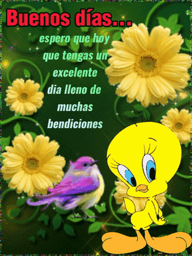 Piolin Soogyu GIF