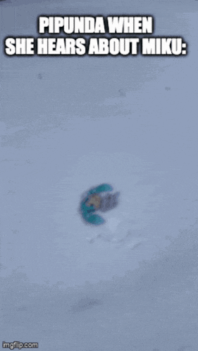 Pipunda Pipunda Fly GIF