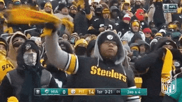 Pittsburgh Steelers GIF