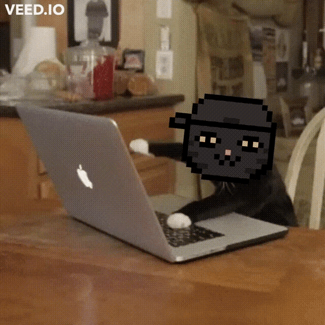 Pixl Cet Dao Cats GIF