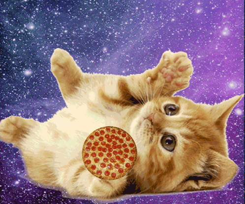 Pizza Cute GIF