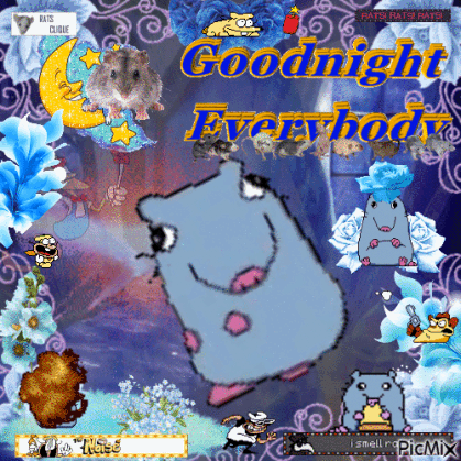 Pizza Tower Goodnight Everybody GIF. This 419 x 419 animated GIF is part of our pizza rat collection. Created by maddo_tenor. View the original animation…