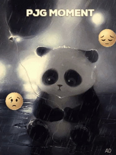 Pjg Yoib GIF