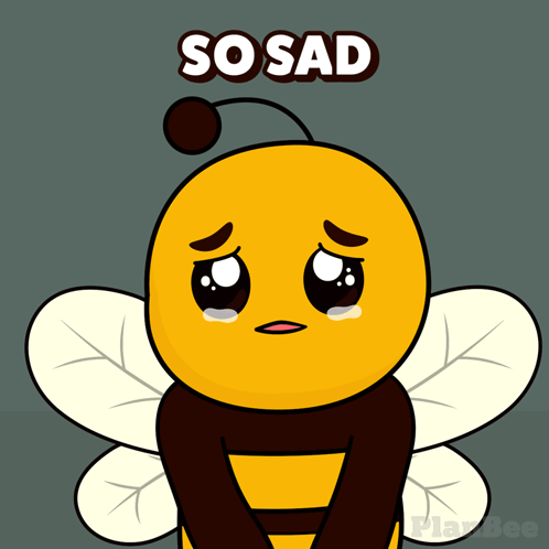 Plan B Planbee GIF