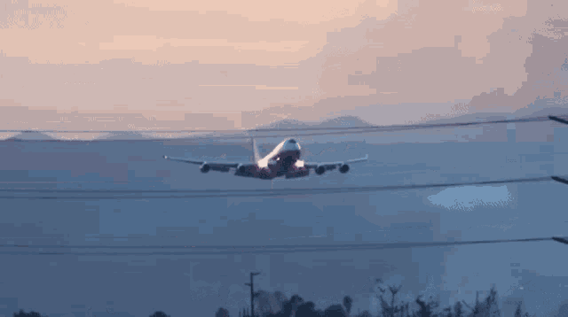 Plane Aircraft GIF