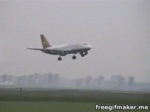 Plane Drunk GIF