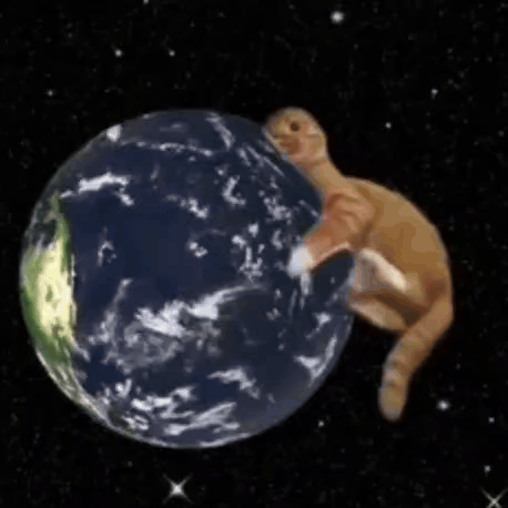 Planet Adorable GIF. This 458 x 458 animated GIF is part of our earth collection. Related themes include ball, cat, cat meme. Created by bluenovaaa. View…