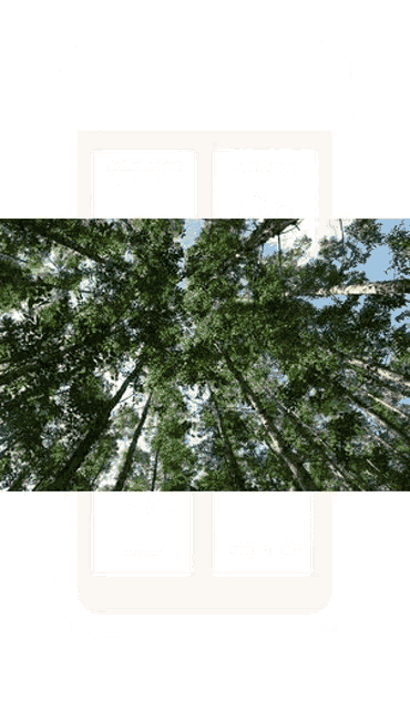 Plant A Tree Carbon Footprint Calculator Uae GIF