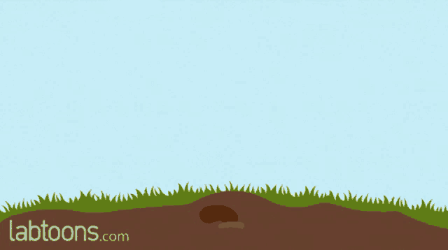 Plant Growth Stages GIF