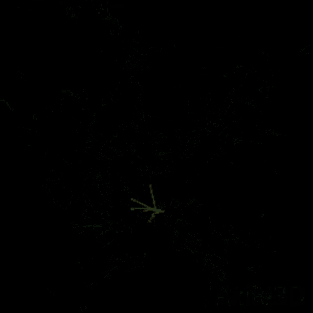 Plant GIF