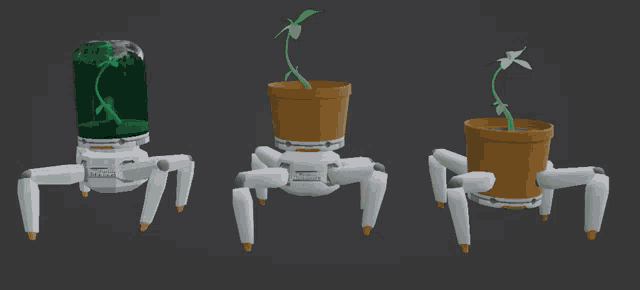 Plant GIF