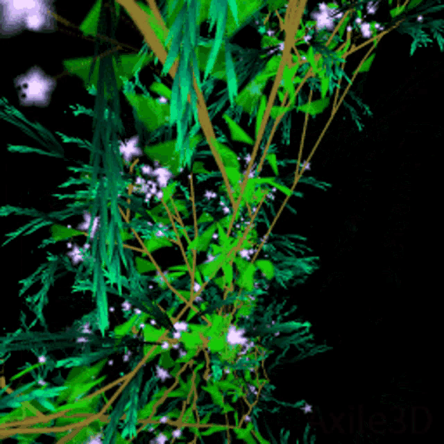 Plant GIF