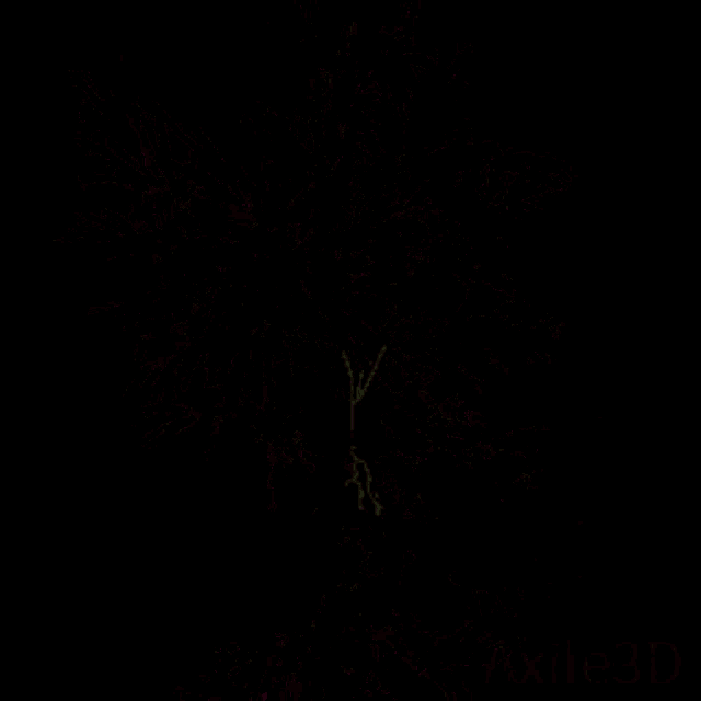 Plant GIF