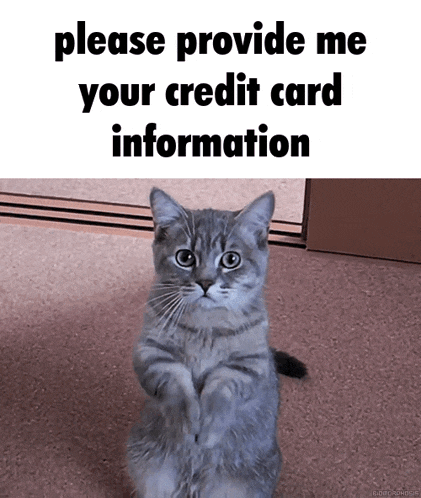 Please Ca GIF