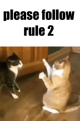 Please Follow Rule 2 GIF