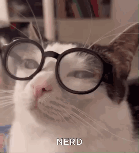 Plink Nerd GIF